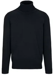 Rollkragen Pullover, 1/1 Arm male