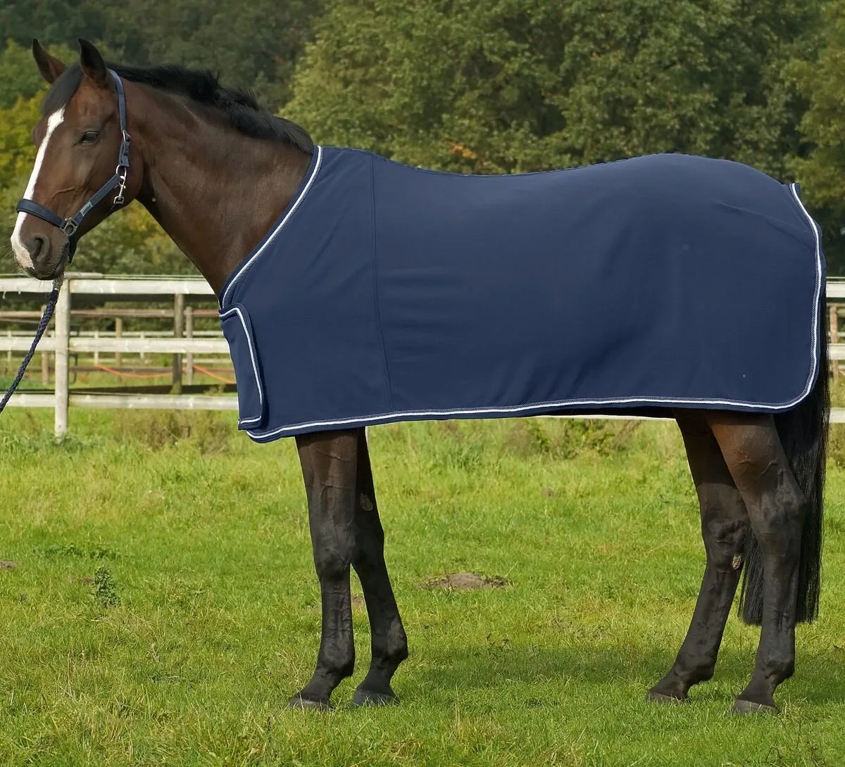 Abschwitzdecke Parade, navy 135cm - Busse - FashionsVida