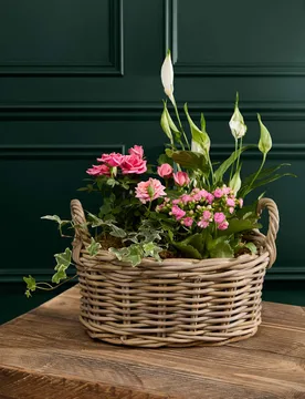 Mixed Rose in Kubu Basket - M&S Flower Market - FashionsVida