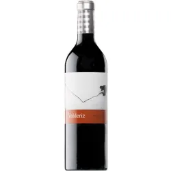 Vino tinto 2021 Ribera del Duero