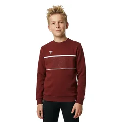 Team Sweatshirt Cardinal 6-8 Years