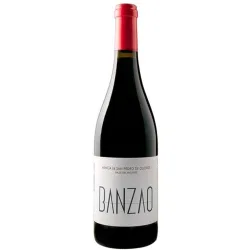 Vino tinto Vino de Villa 2022 Bierzo