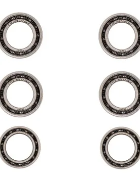 Kit Cuscinetto Ruota Dt Swiss 5 Silver / Black - Cycling Ceramic - FashionsVida