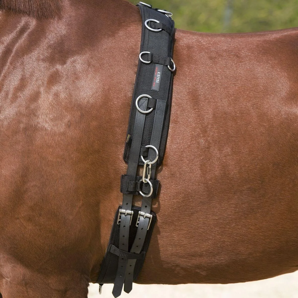 Kieffer Longiergurt schwarz PONY - Kieffer - FashionsVida
