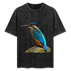 Kingfisher T-Shirt Quick Dry Sports Short Sleeve Tee