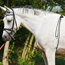 Busse Longierhilfe HO schwarz 4,5m