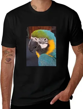 Gideon the macaw T-Shirt Large Size Short Sleeve T-Shirt - Aliexpress - FashionsVida