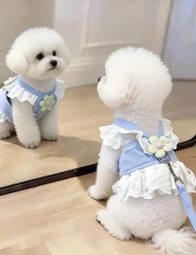 Pieza Vestido arnés para mascotas con encaje floral lindo, múltiples tamaños disponibles, incluye correa, conjunto de chaleco de princesa con volan - Shein - FashionsVida