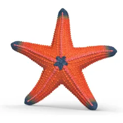 Figura Estrella de mar