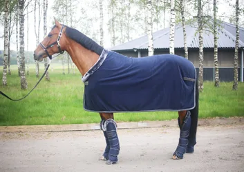 Transportgamaschen Show-Line, navy/grey FULL