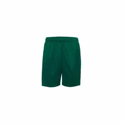 Shorts Gondo - Vert - male - Size: M