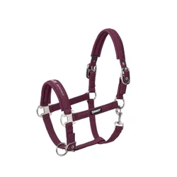 Halfter PIN BUCKLE SOFTSHELL blackberry P2