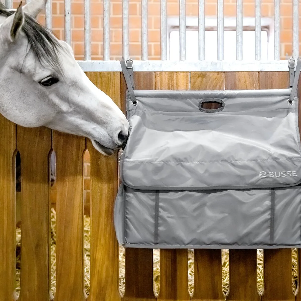 Busse Boxentasche RIO grau - Busse - FashionsVida