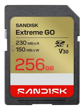 Carte Mémoire Extreme Go 256gb Black / Gold One Size unisex - SanDisk - FashionsVida