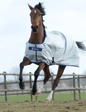 Weidedecke POWER TURNOUT Medium, silver 130 - Bucas - FashionsVida