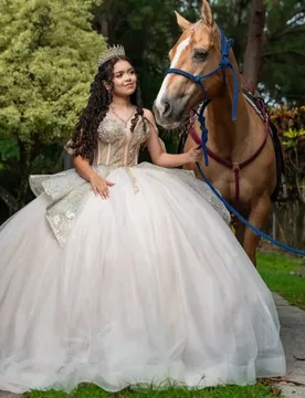 Light Champagne Quinceanera Dress Sequins Crystal Decal Long tail off-shoulder Vestidos De 15 Quinceanera ﻿Customize - Aliexpress - FashionsVida