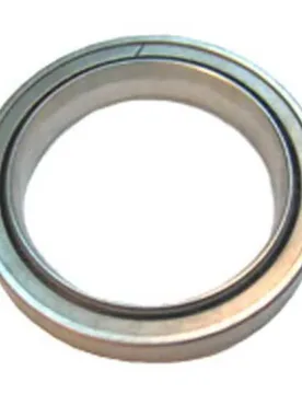 Cuscinetti Del Mozzo Posteriore R5 Silver - Chris King - FashionsVida