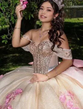 Light Champagne Quinceanera Dress Crystal 3D Flower Decal Lace Long tail off-shoulder Bow Vestidos De 15 Quinceanera ﻿Customize - Aliexpress - FashionsVida