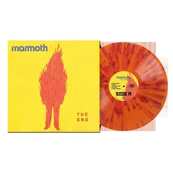 The End von - LP (Coloured, Limited Edition, Standard) - None - unisex