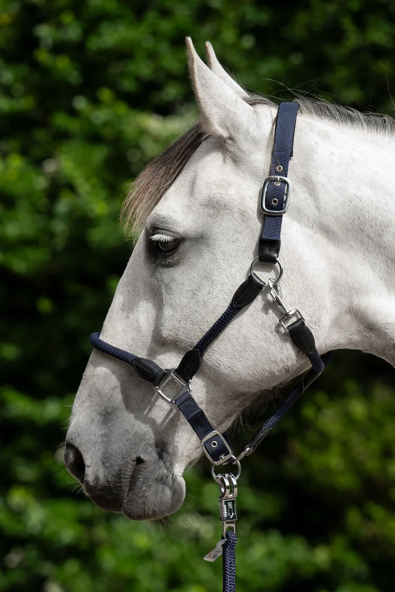 Halfter CARLOTTA dunkelblau Warmblut - HKM - FashionsVida