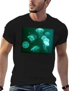 Jellyfish white pencil drawing T-Shirt plus size tops funny shirt cotton mens big and tall t shirts - Aliexpress - FashionsVida