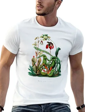 Carnivorous Plants Vintage Sarracenia Botanical T-shirt oversized cute clothes for a boy tees oversized t shirt men - Aliexpress - FashionsVida