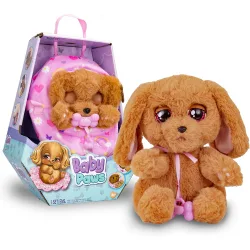 Baby Paws - Baby Paws Cocker