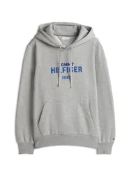 HILFIGER TACK REG FLEECE HOODIE male