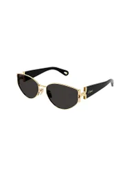 Chloe Sonnenbrille CH0260S or