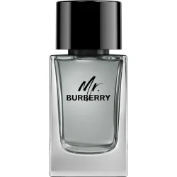 Eau de Toilette Mr. 100 ml