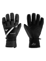 Herren Skihandschuhe Jerzens.gtx schwarz 10,5 M