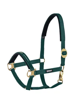 Halfter SLIDING BUCKLE Basics, racinggreen V - Eskadron - FashionsVida
