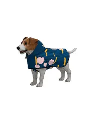 Hunde Regenponcho blau L Damen