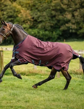 Weidedecke AMIGO 1200D 50g, burgund/navy/titanium grey 130 - Horseware - FashionsVida