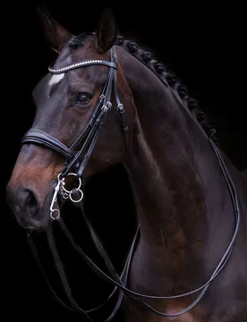 Kandarenzaum IRH FRIA black X-Full - Imperial Riding - FashionsVida