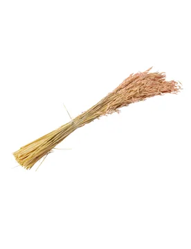 Rosa Trockenblumen-Strauß Hafer 100 g 73 cm Boho-Deko - ARTYFETES - FashionsVida