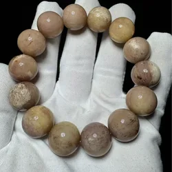 Natural camel bone with blood streaks and original color, single-loop bracelet for gifting, personal use, or as a colle