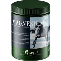 St. Hippolyt Magnesium B 12, 1 kg