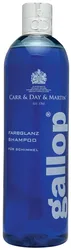 Farbglanz Shampoo für Schimmel 500ml