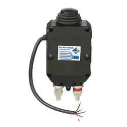 Remote Battery Key Switch Off 300A 24V- unisex