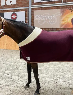 Manski Kombi-Set Eternal Flame, bordeaux-gold 145 Full - Reitsport Manski - FashionsVida