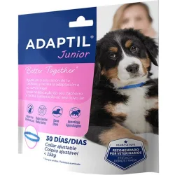 Collar para perros Junior
