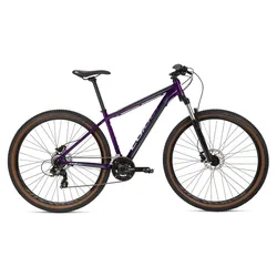 Bicicletta Da Mtb Ascent 293 29´´ Altus 2025 Purple