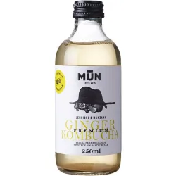 Té probiótico Ginger con manzana y jengibre