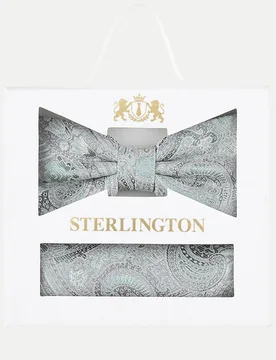 Fliege + Einstecktuch Silber - Prince Bowtie - FashionsVida