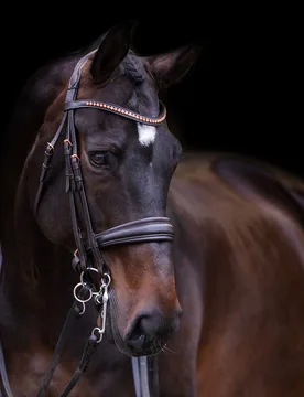 Trensenzaum IRH FRIA brown Full - Imperial Riding - FashionsVida