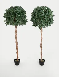 Ft Set of 2 Artificial Tall Bay Trees in Pots Green