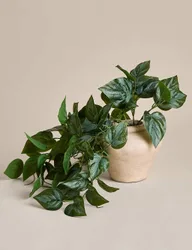 Artificial Trailing Pothos Vase Natural