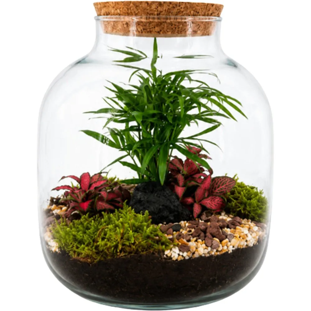 Terrario Mensa S Origin - Naturalys - FashionsVida