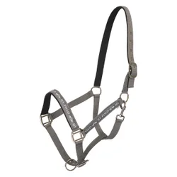 Halfter HVP NENA cloud grey Cob